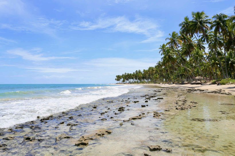 Praia dos Carneiros: Um paraíso intocado em Pernambuco