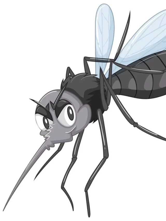 Alerta Máximo! Dengue 2024: Cuidados Urgentes